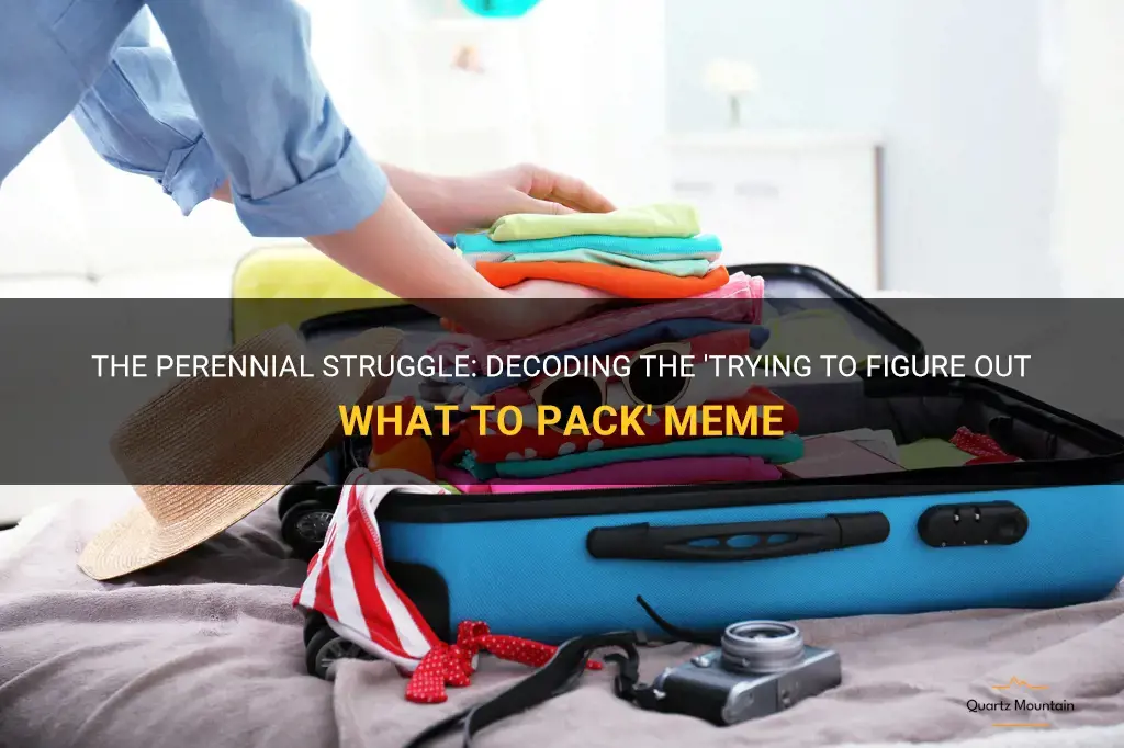 trying to figure out what to pack meme