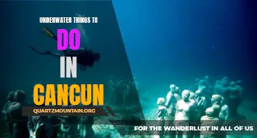 12 Exciting Underwater Adventures in Cancun
