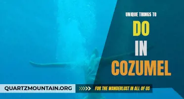 13 Unique Things to Do in Cozumel