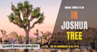 12 Unique Things to Do in Joshua Tree National Park