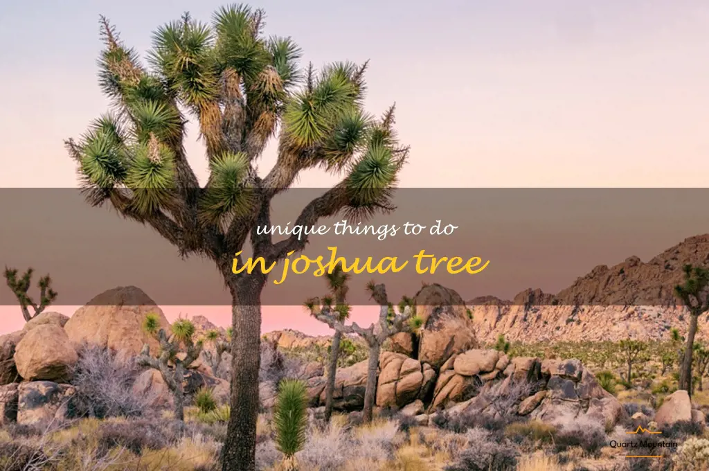 unique things to do in joshua tree