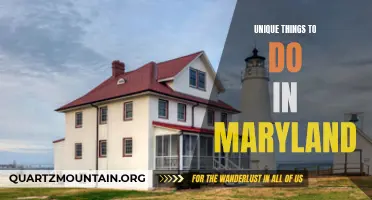 14 Awesome Activities to Experience in Maryland beyond the Usual Touristy Spots
