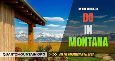 12 Unique Things to Do in Montana