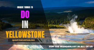 14 Unique Things to Do in Yellowstone National Park