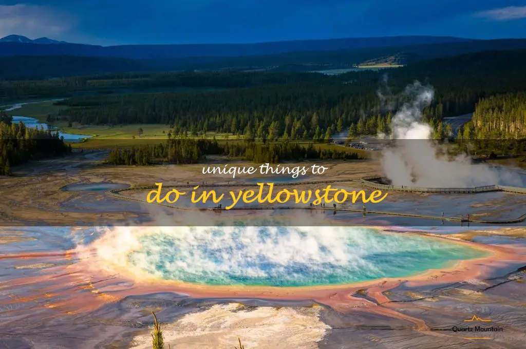 unique things to do in yellowstone
