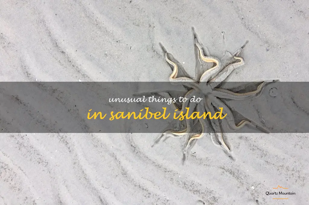 unusual things to do in sanibel island