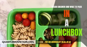 A Guide to Creating Nutritious Vegan Lunchboxes for Children
