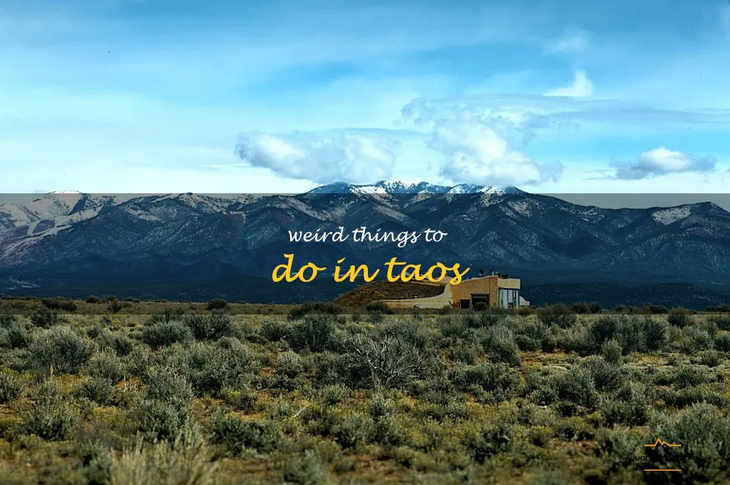 weird things to do in taos