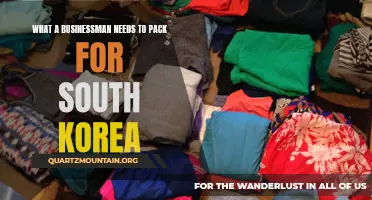 The Essential Checklist: What Every Businessman Should Pack for South Korea