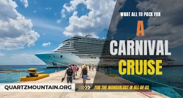 Essential Items to Pack for an Unforgettable Carnival Cruise Experience