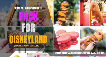 Delightful Snack Ideas to Pack for Your Disneyland Adventure
