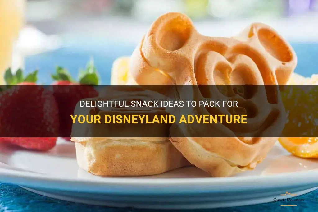 what are good snacks to pack for disneyland
