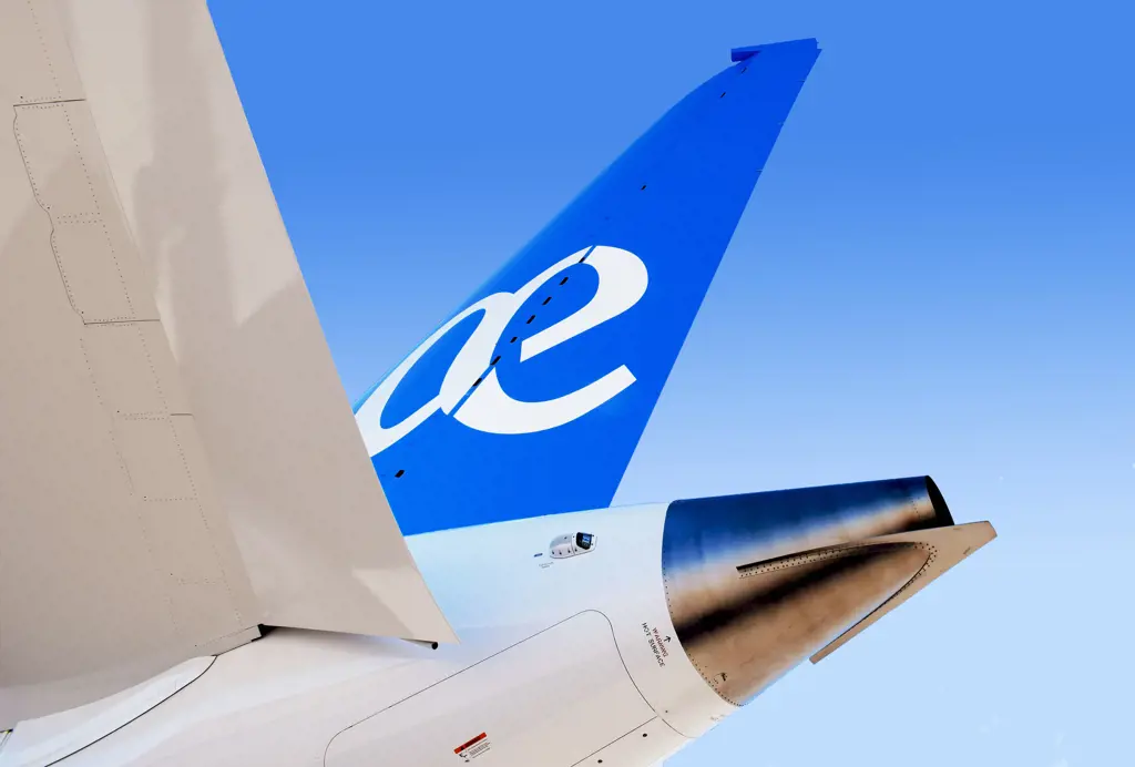 air europa travel requirements