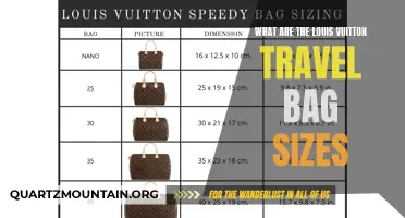 Understanding the Different Sizes of Louis Vuitton Travel Bags