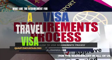 The Essential Requirements for Obtaining a Travel Visa