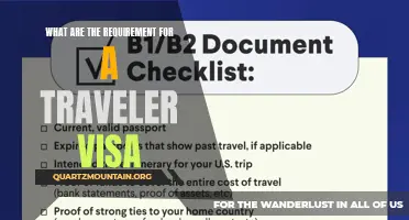 Understanding the Essential Requirements for Obtaining a Traveler Visa