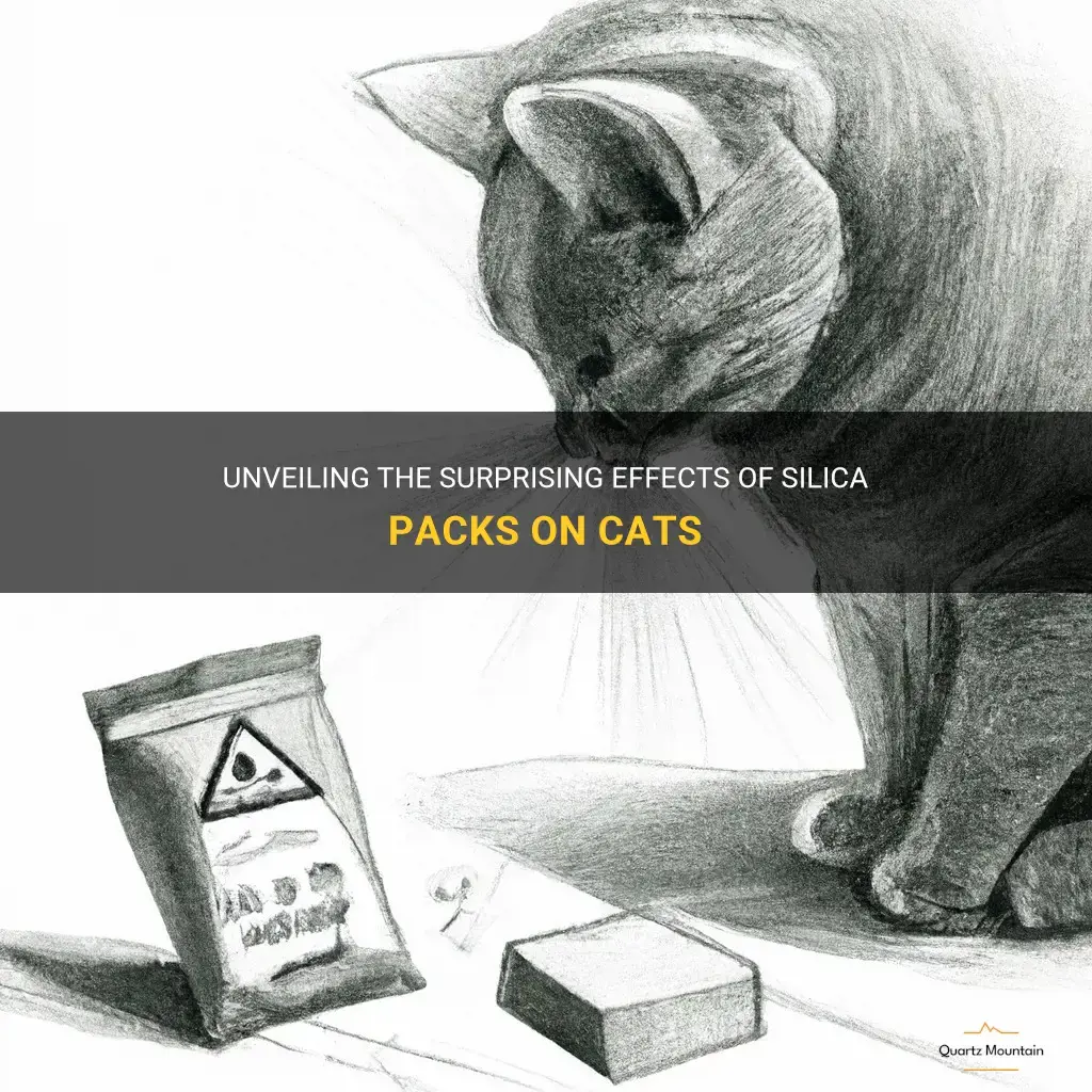 what can a pack of silica do to a cat