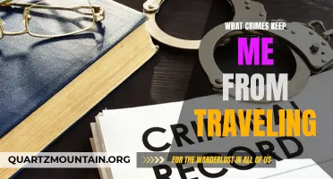 Top Crimes That Can Prevent You From Traveling