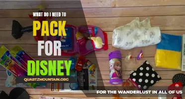 The Essential Checklist for Packing for a Disneyland Vacation