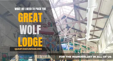 Essential packing list for a memorable stay at Great Wolf Lodge