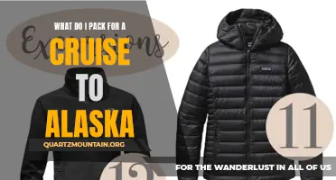 Essential Items to Pack for an Unforgettable Cruise to Alaska