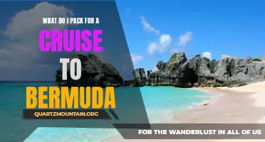 Essential Items to Pack for a Memorable Cruise to Bermuda