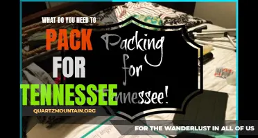 Essential Items to Pack for a Trip to Tennessee