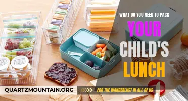 Essential Tips for Packing Your Child's Lunch