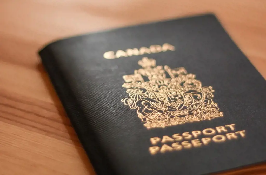 What Documents Do Canadian Passport Holders Need To Provide When Traveling Internationally 20230821180022.webp