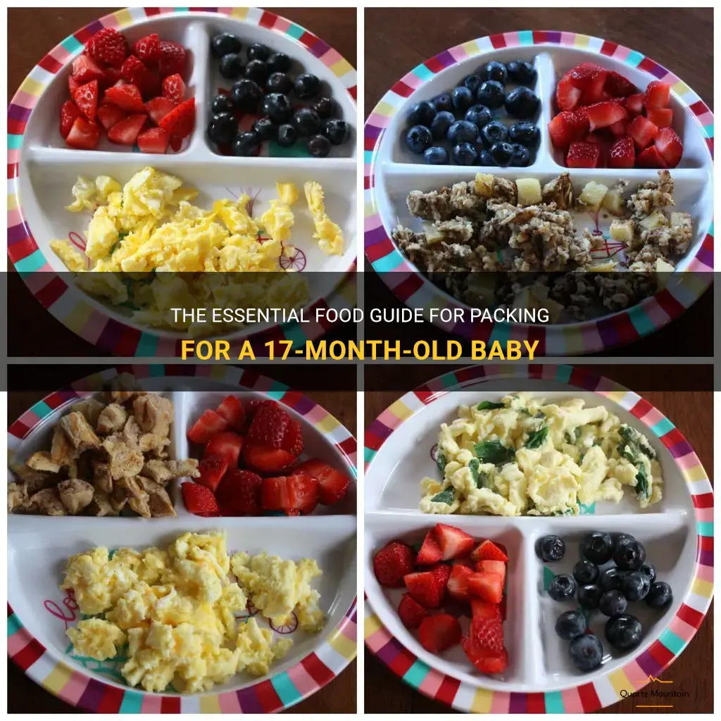 what food to pack for a 17 months old baby
