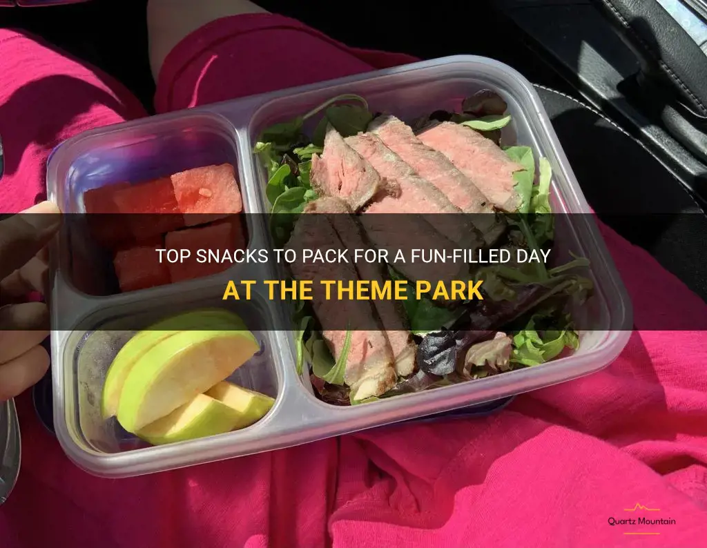 what food to pack for a theme park
