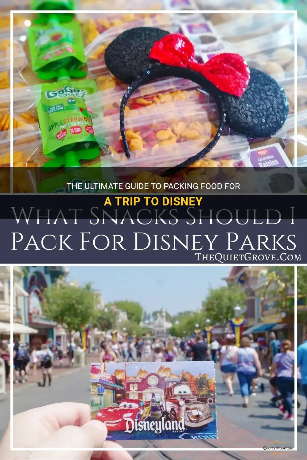 what food to pack for disney