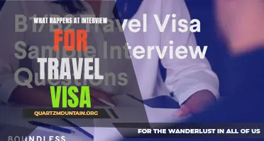 The Interview Process for Obtaining a Travel Visa: What to Expect