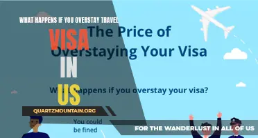 What Are the Consequences of Overstaying Your Travel Visa in the US?