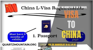 Exploring the Essentials: What to Look for in a Travel Visa to China