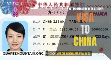 Understanding the Requirements on a Travel Visa to China: What You Need to Know