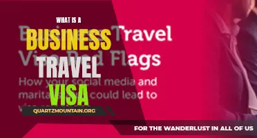 Understanding the Basics of a Business Travel Visa