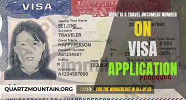 Understanding the Importance of the Travel Document Number on Your Visa Application