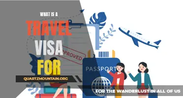 Understanding the Basics: What is a Travel Visa For?