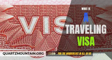 A Comprehensive Guide to Understanding Traveling Visas and Their Importance