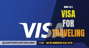 Understanding the Purpose and Process of Travel Visas