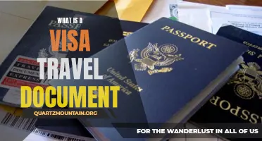 Understanding the Basics of a Visa Travel Document