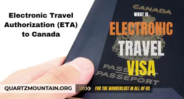 Understanding Electronic Travel Visas and How They Simplify Travel Processes