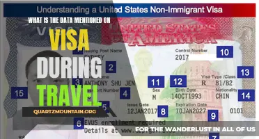 Understanding the Significance of Data on a Visa During Travel