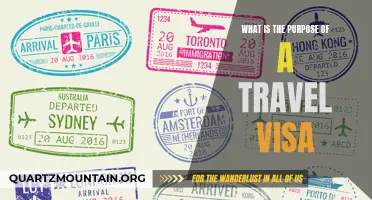 Understanding the Importance of Travel Visas: Exploring Their Purpose and Implications