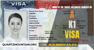 Understanding the Importance of the Travel Document Number on a K1 Visa