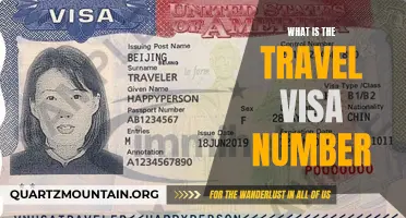 Understanding the Travel Visa Number and Its Importance