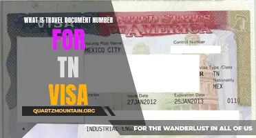 Understanding the Importance of the Travel Document Number for TN Visa Applications