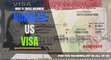 Understanding the US Visa Travel Document Number: Everything You Need to Know