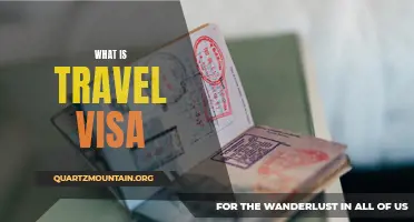 Understanding the Basics of a Travel Visa